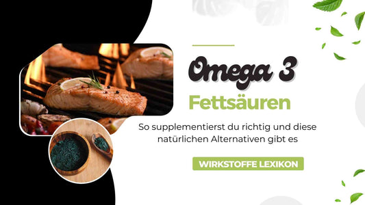 Omega 3 Fettsäuren - So wirken Sie und das ist die richtige Ergänzung - Sportgainz