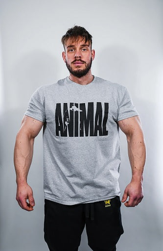 Produktbild von Universal Animal Basic T-Shirt Grey